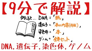 生物基礎 第2章 DNA、遺伝子、染色体、ゲノム [upl. by Elletnahc]