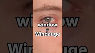 window  Windauge [upl. by Ylerebmik]