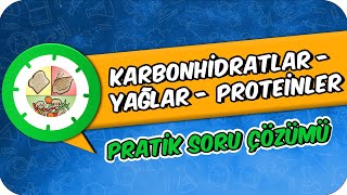 Karbonhidratlar  Yağlar  Proteinler  Pratik Soru Çözümü [upl. by Alayne359]