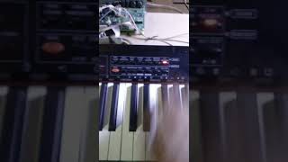 samick digital piano Bs serius [upl. by Iilek]