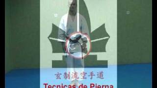 GenseiRyu KarateDo técnicas de pierna AEKG [upl. by Ysdnyl275]