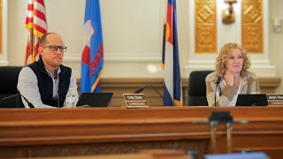 Commissioners give update on Denver immigration challenges [upl. by Oilenroc]