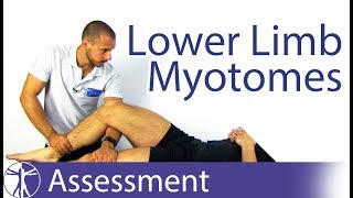 Myotomes Lower Limb  Peripheral Neurological Examination [upl. by Northrop229]