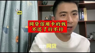 网贷信用卡的钱，不还行不行 [upl. by Alikam809]