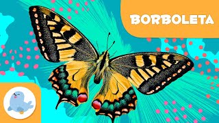 BORBOLETA 🦋 Animais para crianças 🌱 Episódio 11 [upl. by Etnoel]