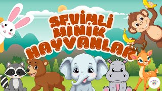 Hayvanları Tanıyalım Sevimli Hayvanları Öğreniyoruz  Learn Animals  Eğitici Video [upl. by Sayers]