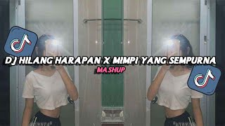 DJ HILANG HARAPAN X AKU KAN MENGHILANG VIRAL TIKTOK TERBARU [upl. by Aromat]