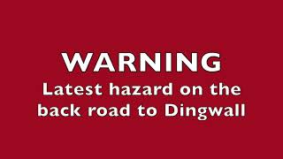 Latest hazard on the back road to Dingwall [upl. by Ojyllek]