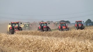 Hennep stro harken en persen bij Hempflax Oude Pekela met 8 combinaties [upl. by Ethyl975]