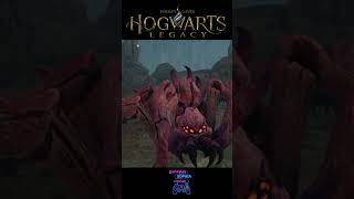 🎮Aracnofobia🎮 hogwartslegacy gameplay harrypotter [upl. by Ynohtnanhoj]