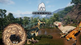 So Many Nests  The Great Hypsi Colony Part 4  Hypsilophodon Gameplay  The Isle Evrima [upl. by Smart]