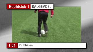 Oefeningen Hoofdstuk 1 Balgevoel [upl. by Kevina]