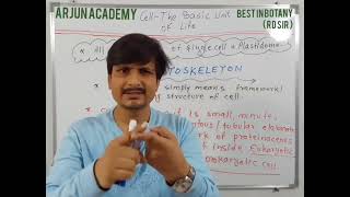 Introduction  Definition  Description of cytoskeleton [upl. by Ellenrad]