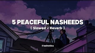 5 Peaceful Nasheeds ✨  Slowed  Reverb  Zainstics [upl. by Gridley]