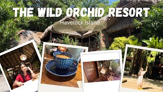 The Wild Orchid Resort  Havelock Island  Best hotels in Havelock Island Andaman travel [upl. by Gelya]