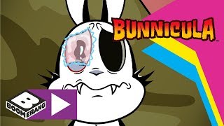 Bunnicula  The Eye  Boomerang [upl. by Lorenzo]