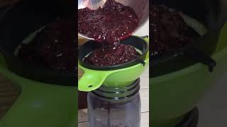 Sugar Free Elderberry Syrup  Honey Elixir  That Actually Tastes Good  Tutorial shorts [upl. by Rajiv]