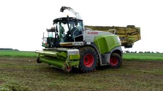 Claas jaguar 950 [upl. by Maddi]