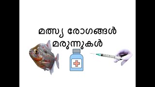 Ornamental fish diseases [upl. by Georg225]