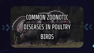 COMMON ZOONOTIC DISEASES IN POULTRY BIRDS [upl. by Christi]