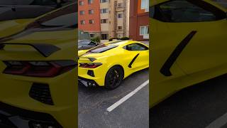 C8 Corvette Corvette Adventures CorvetteDan corvette shorts car c8 [upl. by Sueddaht]