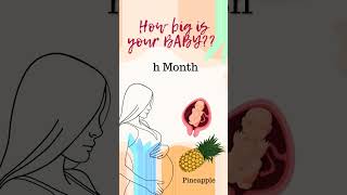 Pregnancy week by week  baby development month by month  How big is the baby now  pregnancy [upl. by Nenad654]