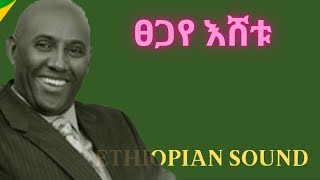 Tsegaye Eshetu  Best of  ፀጋየ እሸቱ  mix  Ethiopian Music [upl. by Imuya]