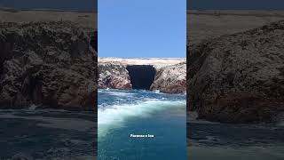 🏝️ Islas Ballestas a solo 3 horas de Lima travel montanas viajes turismo [upl. by Aliam]