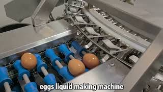 eggs liquid making machinery for eggs products production line [upl. by Yrrag799]