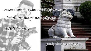 canon 5D mark 2 and canon 500D photo sample with details [upl. by Shanan158]