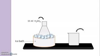 Synthesis of 7 Hydroxy 4 methyl coumarin from Resorcinol [upl. by Leonardo]