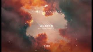 Avicii ft Sandro Cavazza We Burn Faster Than Light SecondsMMaker EDM Festival Remix [upl. by Alaehcim]