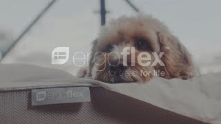 How does the Ergoflex memory foam mattress compare [upl. by Alracal]