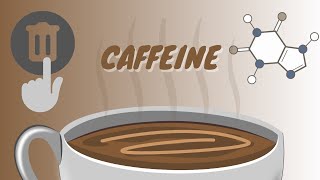 How Decaf Coffee is Made Methods pros and cons [upl. by Malvie]