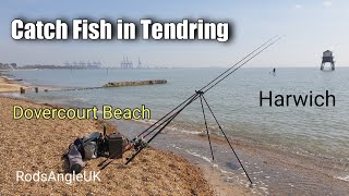 Catch Fish in Tendring HARWICH  DOVERCOURT BEACH [upl. by Jain900]