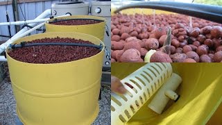 Aquaponic Dutch bucket  barrel build Aquaponics Vlog 9 [upl. by Abrahams598]