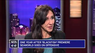 One Year After Blackfish SeaWorld Goes On Offensive [upl. by Nileuqay903]