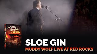 Joe Bonamassa Official  quotSloe Ginquot  Muddy Wolf at Red Rocks [upl. by Noble105]