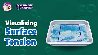 Visualising Surface Tension  Science Experiments at Home  ExperimentShorts  Byjus [upl. by Nnuahs]