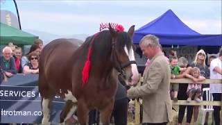 Martin Clunes Heavy Horse Championship Buckham Fair 2018 [upl. by Ara780]