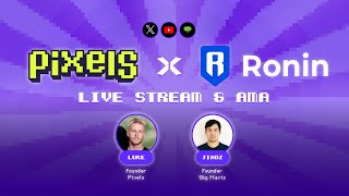 Pixels X Sky Mavis  PlaytoAirdop 20 AMA [upl. by Immanuel54]