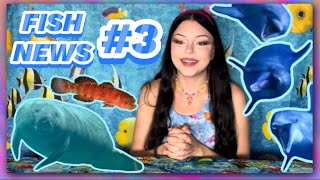 FISH NEWS 3 EPCOT Manatees amp Dolphins Trump Tower New Species Myths Busted [upl. by Rahm942]