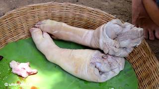 Yummy Leg Pig Recipe  Cooking Leg Pig for Dinner in Forest [upl. by Cand267]