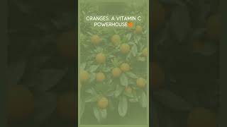 orange a vitamin c powerhouse [upl. by Mateya]