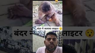 बंदर ने जलाया लाइटर। Monkey burn lighter 🥺 monkey lighter fire reaction viral collab shorts [upl. by Lyred]