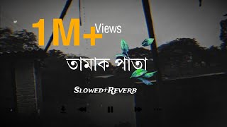 AGOLN JALALE New SlowedReverb TAMAK PATA NEW breakup song  sad song Get lots؄͜͡Mʌʜɪn viders』 [upl. by Dnomse203]