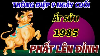 TUỔI ẤT SỬU SINH 1985 ĐÓN NHẬN THÔNG ĐIỆP CỦA VŨ TRỤ ĐÚNG 9 NGÀY CUỐI THÁNG 9 ÂM LỊCH GIÀU CỰC ĐỈNH [upl. by Reviere]