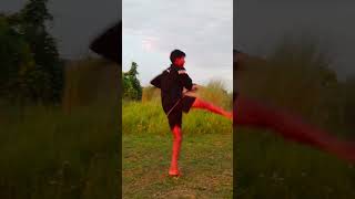 powerful trick kickskarate training  karate🥋🥋motivational  karatekick [upl. by Sewellyn]