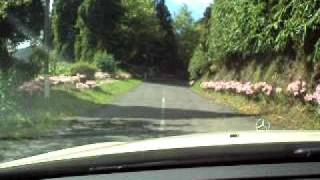 Driving by Azorean Taxitours on the windy roads of Nordeste [upl. by Negroj910]