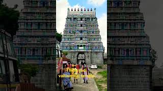 Thillaiyadi valliammai temple thiruvannamalai shortsvideo travelshorts [upl. by Broderick]